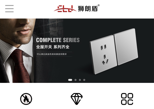狮朗盾/客户案例